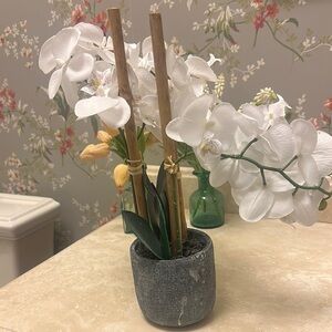 Elegant White Orchid Arrangement in Gray Pot